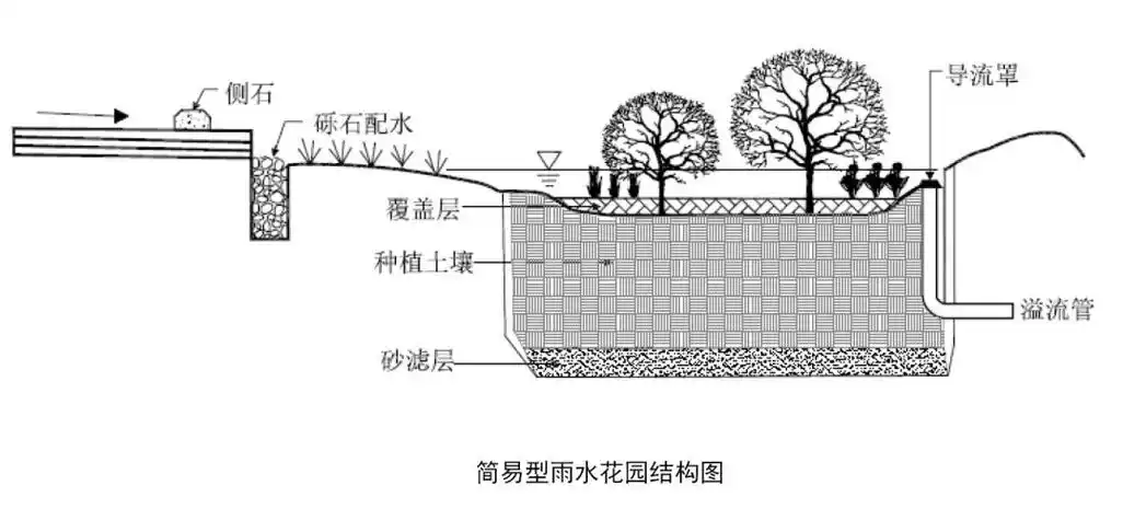 【美华建筑设计】雨水花园到底应该做多大?设计师懵了.