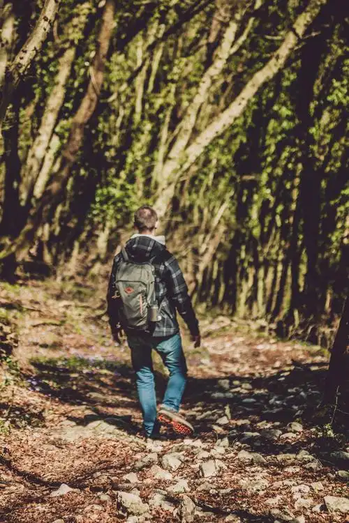 一个人在森林里散步的照片