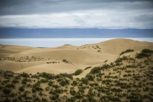化的结果,但是在满眼翠绿的草原和蔚蓝的青海湖湖后,看到金黄色的沙漠
