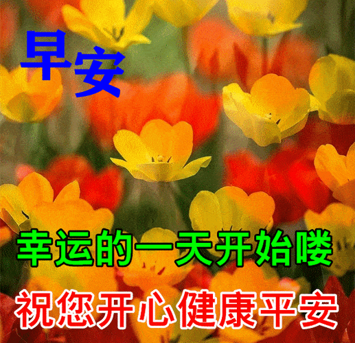 10月16日最漂亮早上好动态表情图片大全,秋天早安问候美图大全!