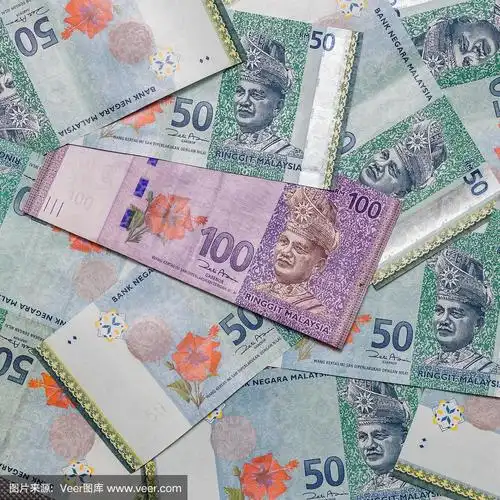 马来西亚林吉特货币格局背景