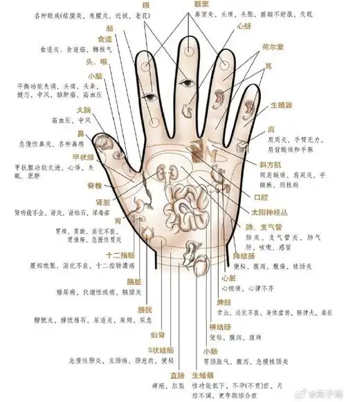 中医手诊##生活医学养生