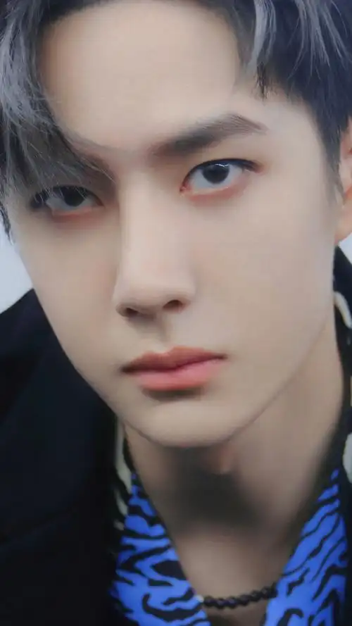 【王一博壁纸】「20201015植村秀×海贼王圣诞联名系列新品发布会」