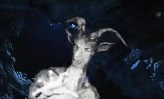 美国民间流传的"山羊人",有人说是美国军方培育的"超级战士"