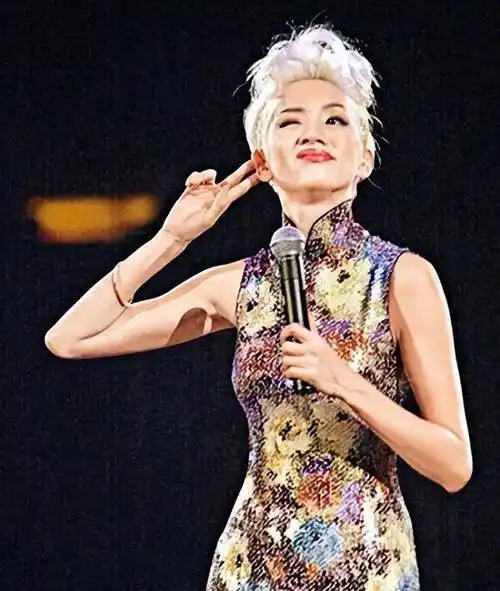 梅艳芳弥留之际,多次吩咐保镖:我死都不会再见那两个人_赵文卓_吴君如