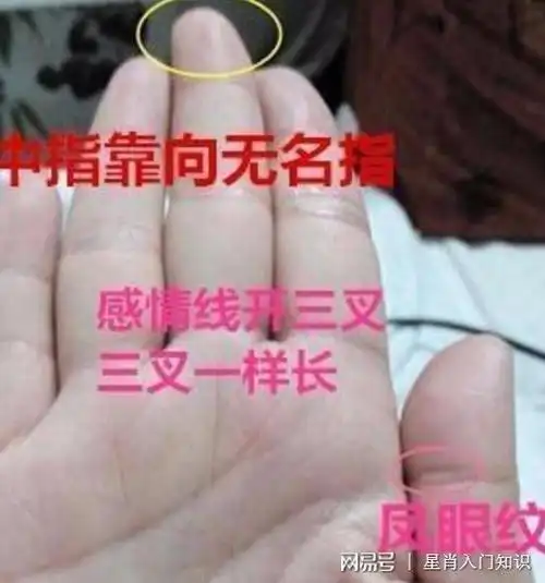 手握凤眼纹幸福长相存此类手相无论男女都象征着衣食无