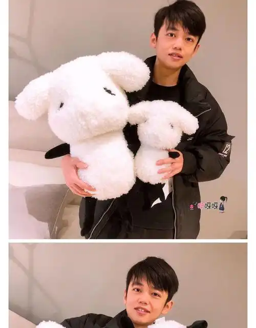tfboys同款易烊千玺公仔毛绒玩具易只羊生日会礼物玩偶抱枕 一只羊 35