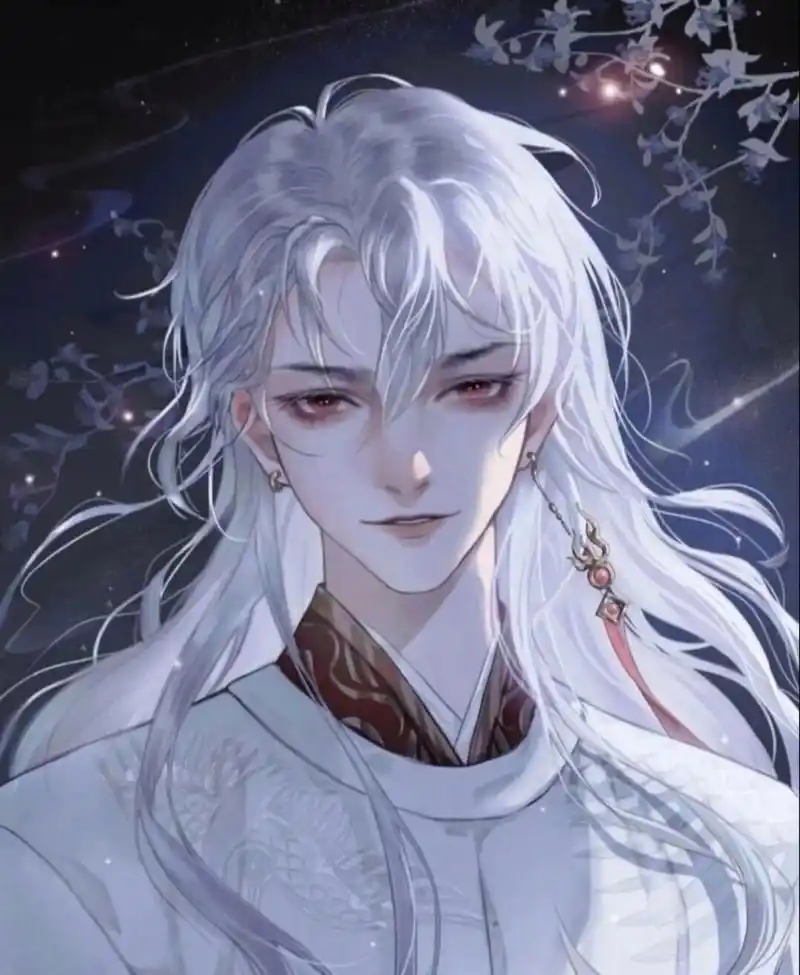 白发系列头像男生 感觉二次元世界里面的白发男神颜值都高