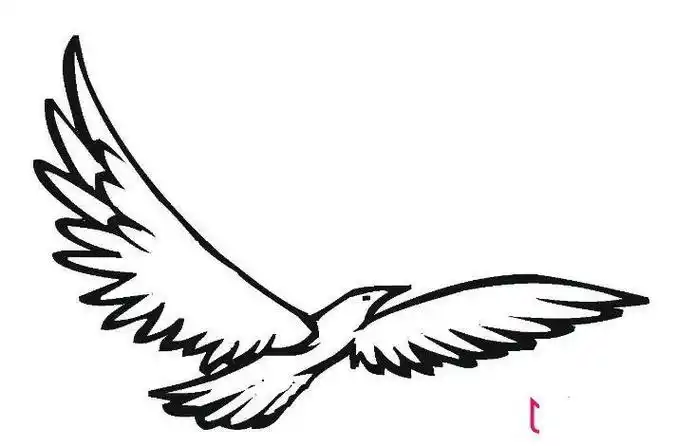 翱翔的海鸥简笔画