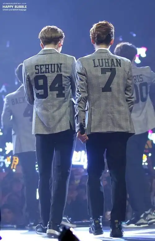 鹿晗吴世勋数字衣服背面图