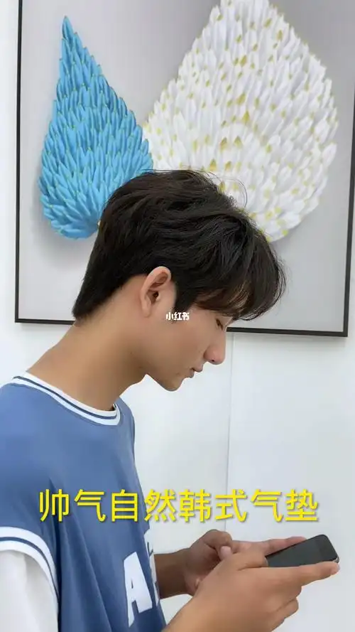 男生自然气垫中分