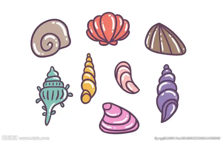 卡通贝壳图片