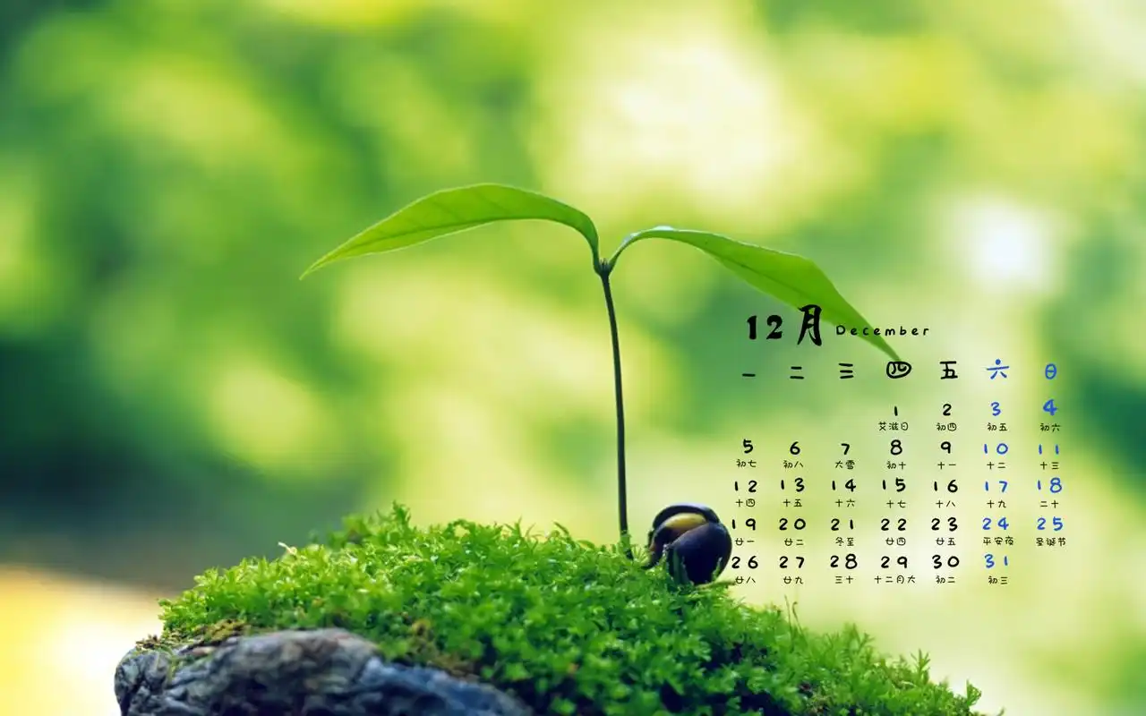 2016年12月日历保护视力的绿色嫩芽电脑背景壁纸