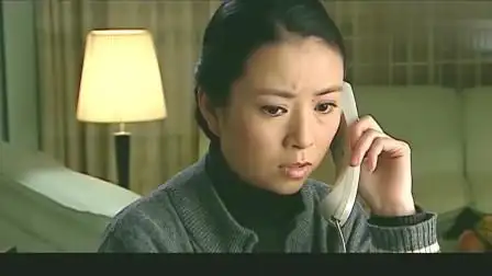 使命: 林荫接电话, 一听是妻子放心了, 没想到妻子也是来说情的!