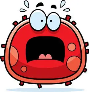 害怕的血红细胞照片