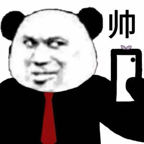 熊猫头打着领带自拍:一个字帅!