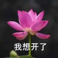 博狗官网_我想开了表情包_微信头像图片大全