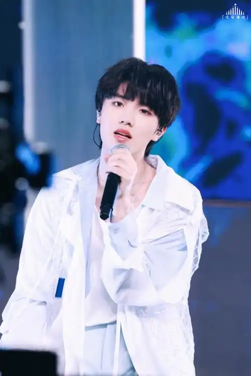 苏新皓舞台翻跟头直拍