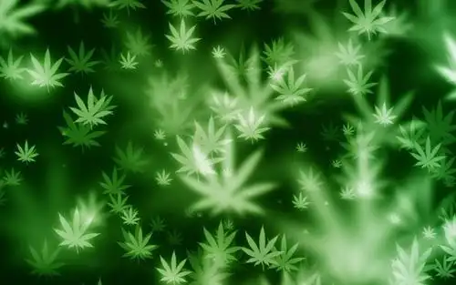 眼睛是不是有一点舒服的感觉.喜欢就把它设置成你的壁纸吧.