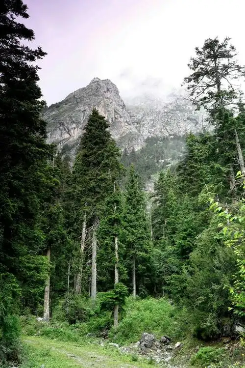 第一髙峰,海拨4920米,在迭部县北部卡坝乡境内,也是秦岭山脉最髙峰,又