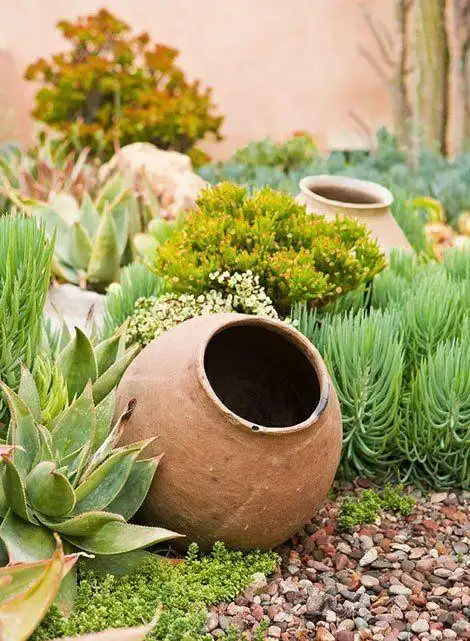 多肉庭院,太美了!