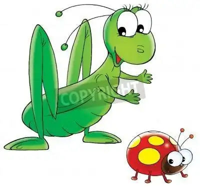 蝈蝈在绿绿的草丛中简笔画绿蝈蝈怎么画简笔画卡通蝈蝈简笔画图片大全