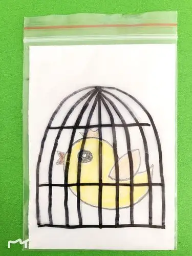 这里有一只漂亮的小鸟被困在了笼子里,看我们的大魔术师如何还它