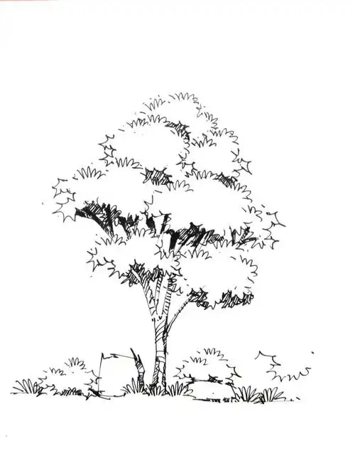 手绘篇景观树的几种颜色