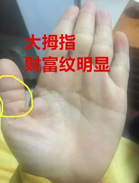 主纹路深长清晰有力能力强素质高利做事业,掌心凹聚财,财宫饱满说明