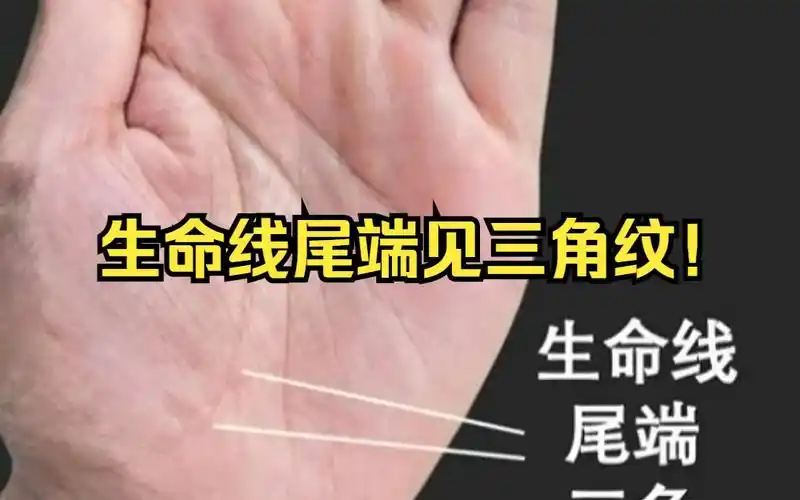 生命线尾端见三角纹!
