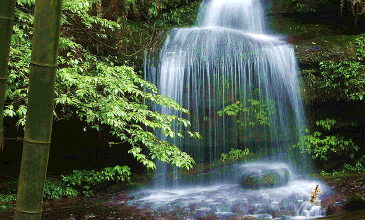 365_220gif 动态图 动图