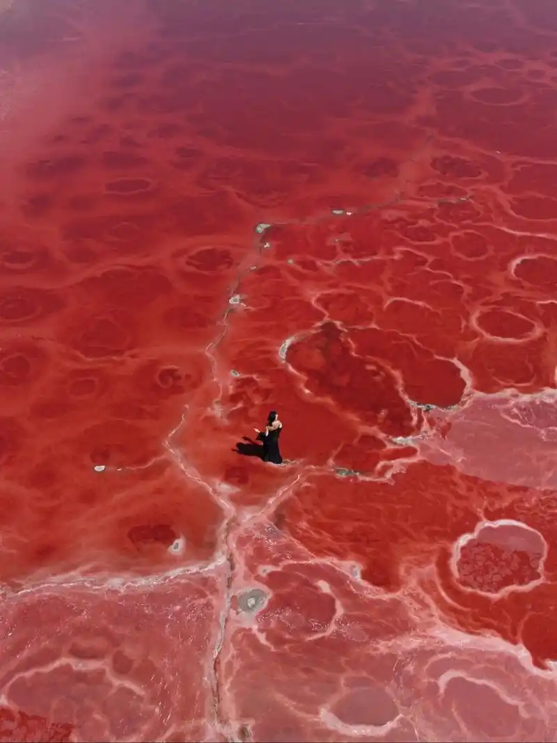 在沙漠里找到一片玫瑰色的海