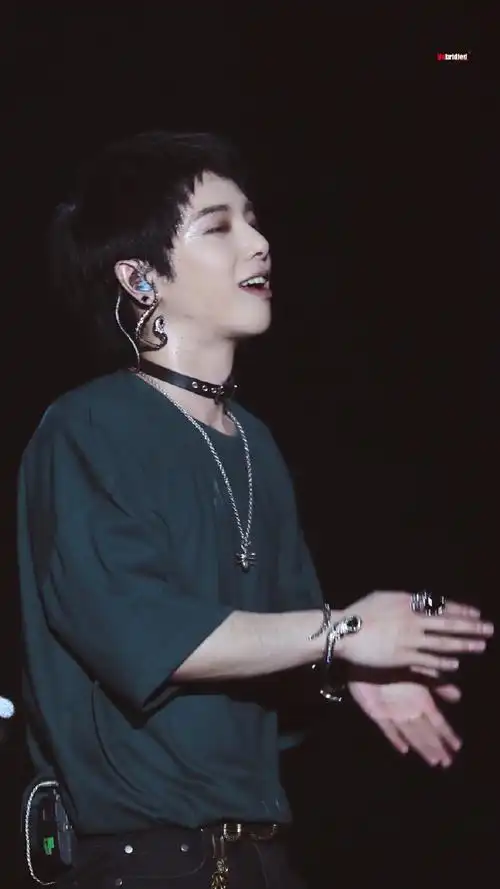 华晨宇2024向阳而生