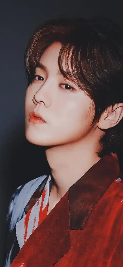 全屏壁纸男生真人帅气鹿晗-明星壁纸 - 壁纸之家