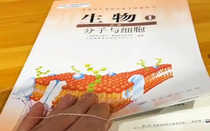 《蛋白质女王》