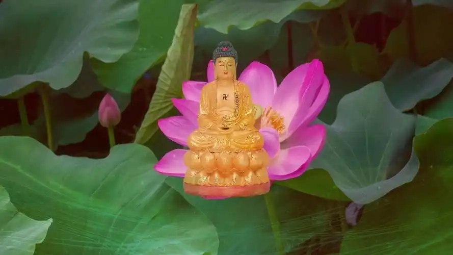 心是莲花开,菩萨保佑你.