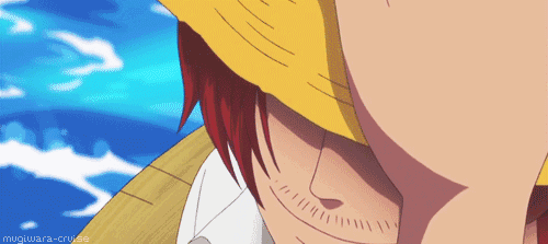 日本官方称这是海贼王中最配的cp