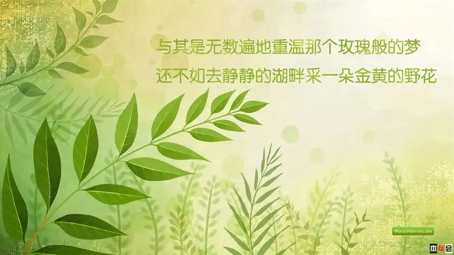 壁纸达人第四弹来了!191p高质量