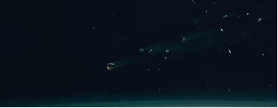 就像《疯狂的石头》和《疯狂的赛车》一样,疯狂系列电影里真正疯狂的