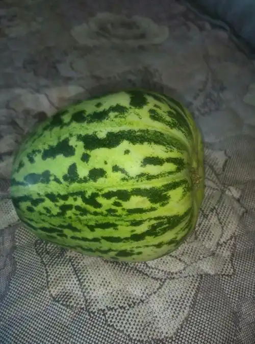 这是什么瓜啊,怎么吃啊