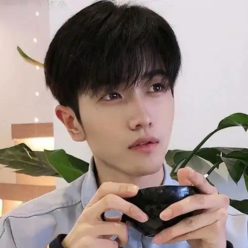 学生中分_刘海假发男生逼真学生齐蓬松中分韩版自然正太短发伪娘帅气