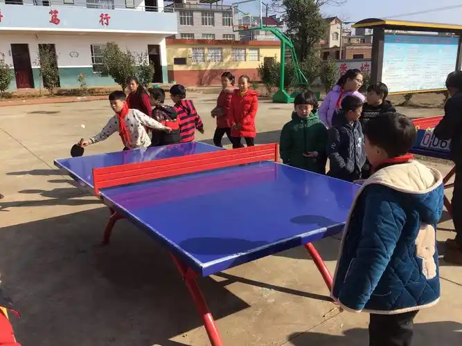 "我运动 我健康 我快乐"——礼林镇马桥小学开展小学生乒乓球比赛活动