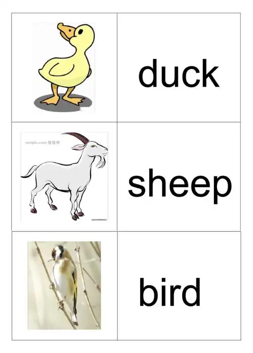 小学三年级英语动物单词