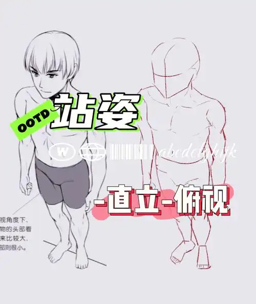 画对我来说很难的三点透视了08#人体动态  #动漫  #人体  #人体结构