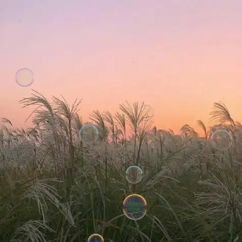 2021最美风景头像高清好看的2021最美微信风景图片