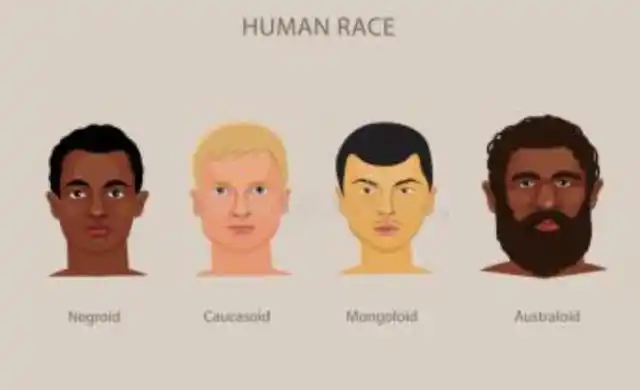 今天的世界是由各个肤色的人种构成,实际上可以说,我们都是混血人.