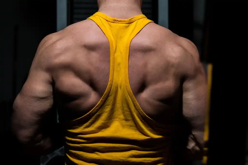 男性健美先生炫耀他的背