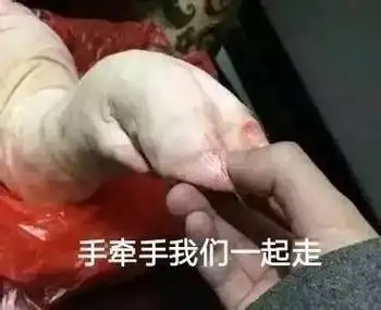 手牵手我们一起走 - 想握着你的手,对你说: _猪爪表情