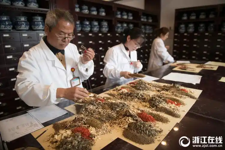 浙江东阳:立冬将至 养生正当时