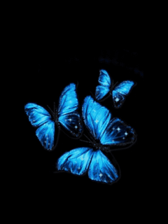 240_320竖版 竖屏gif 动态图 动图